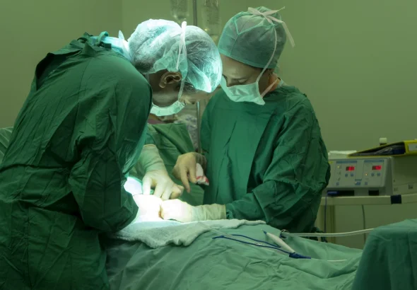 Record în SUA: un rinichi de porc modificat genetic a funcționat 271 de zile în corpul unui pacient