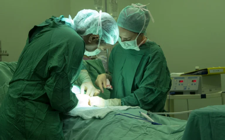 Record în SUA: un rinichi de porc modificat genetic a funcționat 271 de zile în corpul unui pacient