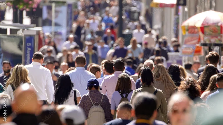 ANPIS virează plățile sociale din 8 septembrie — calendarul complet al sumelor