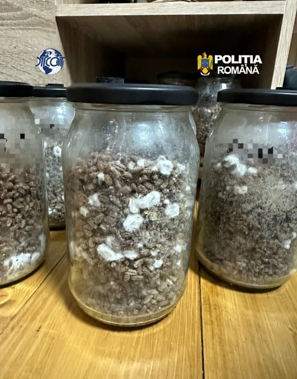 Doi străini, arestaţi după un «retreat» cu droguri de mare risc organizat în Hunedoara. Decizia Curţii este definitivă