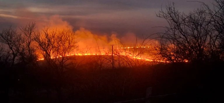 Incendii violente în Mehedinți și Caraș‑Severin: flăcările au amenințat case, o școală și o biserică