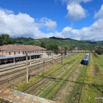 156 de ani de la inaugurarea „căii ferate a cărbunelui”: cum a fost construită linia Simeria–Petroșani