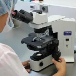 Physarum polycephalum, organismul fără creier care pare să „învețe”: ce știm și ce ridică semne de întrebare
