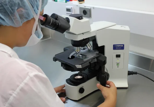 Physarum polycephalum, organismul fără creier care pare să „învețe”: ce știm și ce ridică semne de întrebare