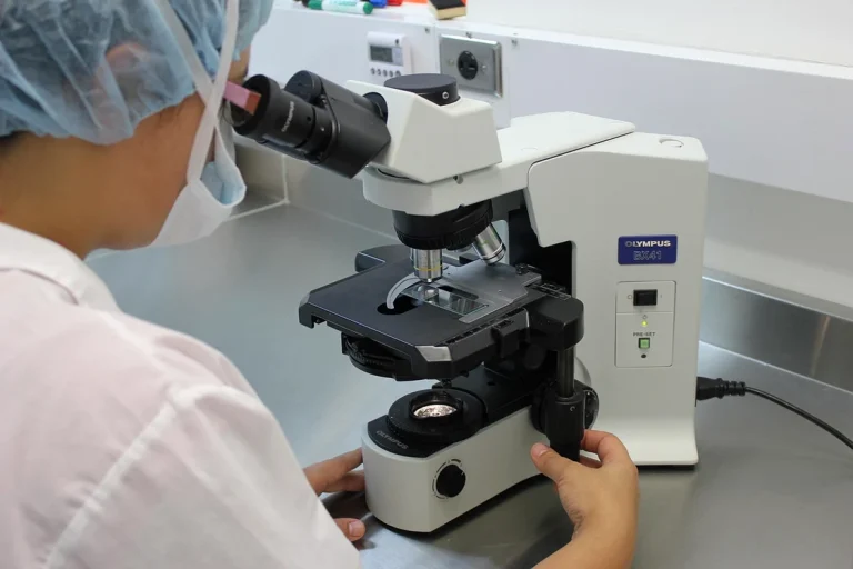 Physarum polycephalum, organismul fără creier care pare să „învețe”: ce știm și ce ridică semne de întrebare