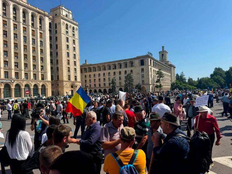 Oierii anunță un nou protest: exporturile de oi și capre blocate până la 31 decembrie 2026