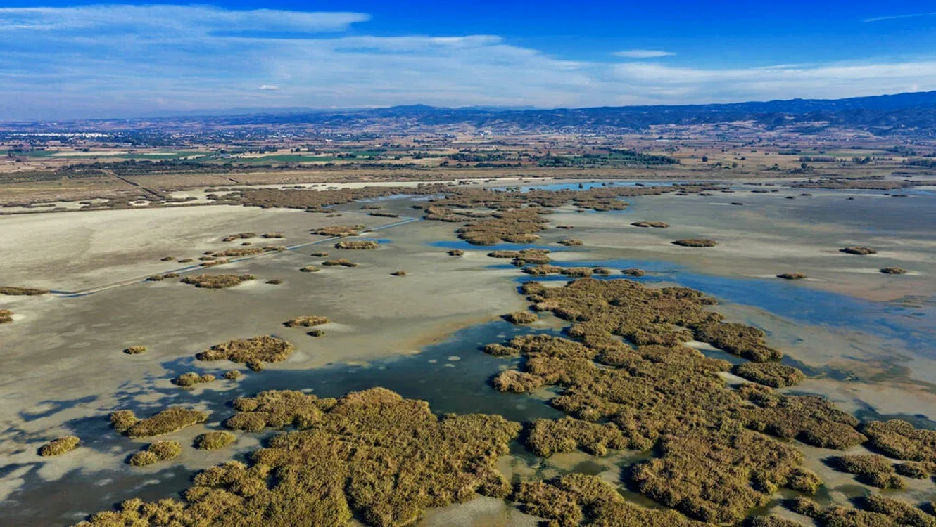 Lacul Koroneia, aproape dispărut: suprafața s-a redus de la 34,4 km² la 2,7 km² în zece ani