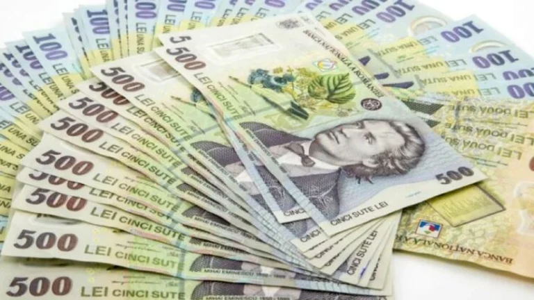Un profesor din Timiș a declarat 575.000 de lei din meditații în 2025, cel mai mare câștig individual din vestul țării