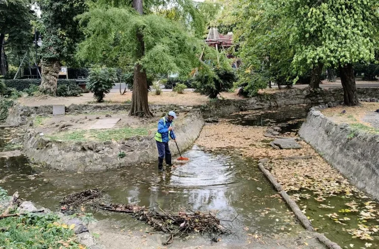 De ce Primăria Capitalei nu strânge toate frunzele din parcuri: explicații și reguli de colectare