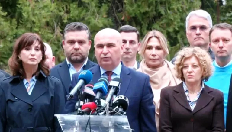 PNL sprijină temporar Guvernul Niculescu; demnitarii partidului își vor depune demisiile