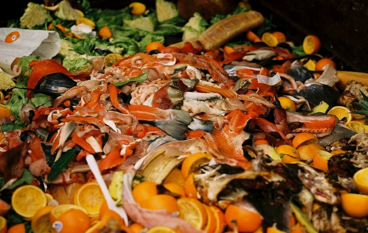 Maldivele, lider mondial la risipa alimentară: fiecare locuitor aruncă circa 260 kg pe an. Unde se situează restul lumii