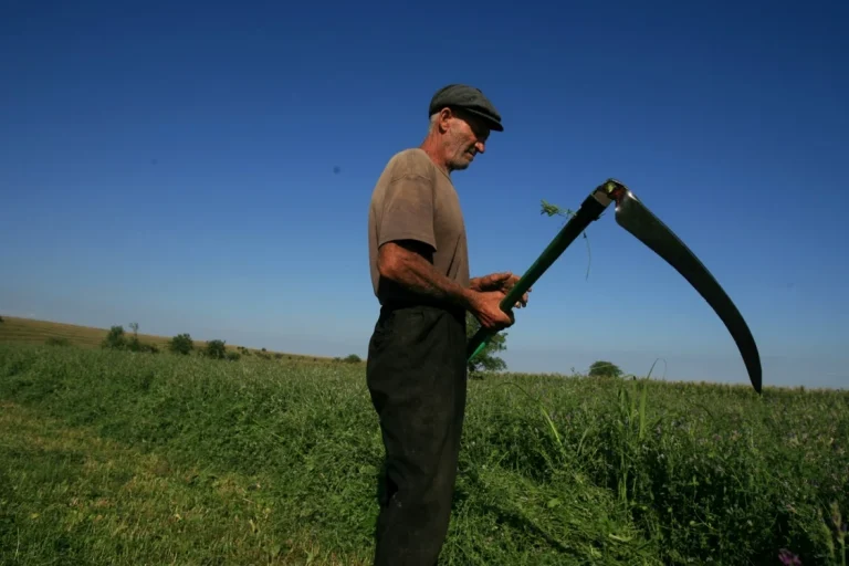 De ce pleacă tinerii din agricultură: muncă grea, acces limitat la teren și fonduri insuficiente