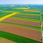 Ministerul Agriculturii pregătește leasing funciar pentru cumpărarea terenurilor agricole