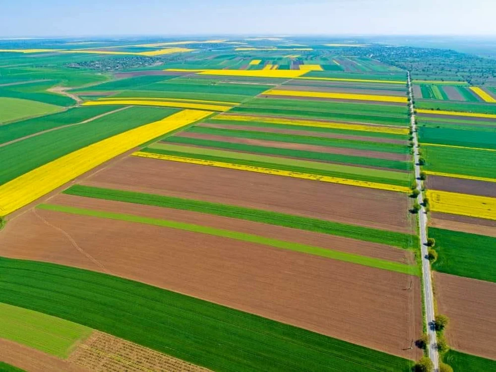 Ministerul Agriculturii pregătește leasing funciar pentru cumpărarea terenurilor agricole