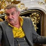 EUIPO respinge apelul FCSB și păstrează decizia de refuz pentru marca „FCSB Steaua”