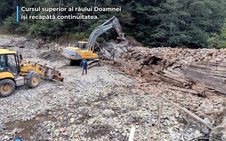 Primul baraj demontat din România: râu reconectat pe 13,1 km, între entuziasm și controverse