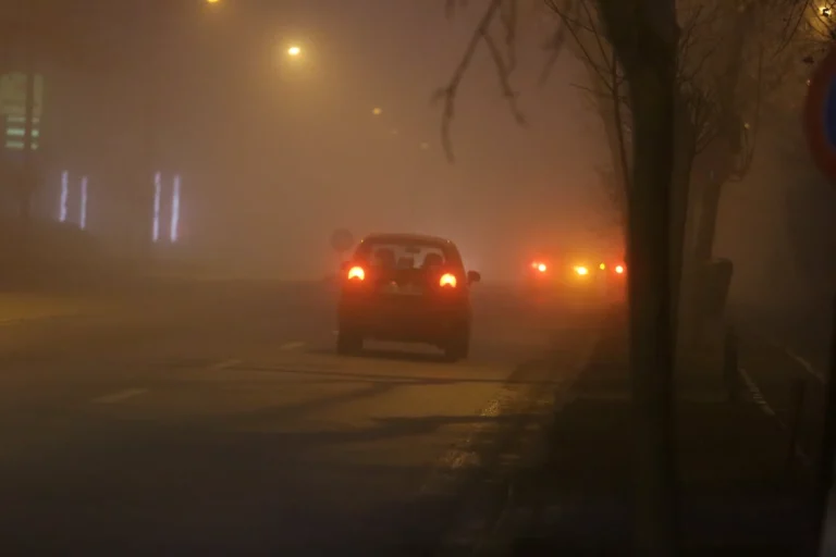 ANM: Cod galben de ceață în Galați, Constanța și Tulcea; ploi și vânt puternic anunțate în est și sud