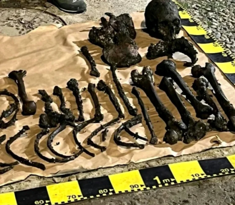 Descoperire macabră în Timișești, Neamț: un cadavru găsit într‑o fântână ar putea fi al unui tânăr dispărut acum cinci ani