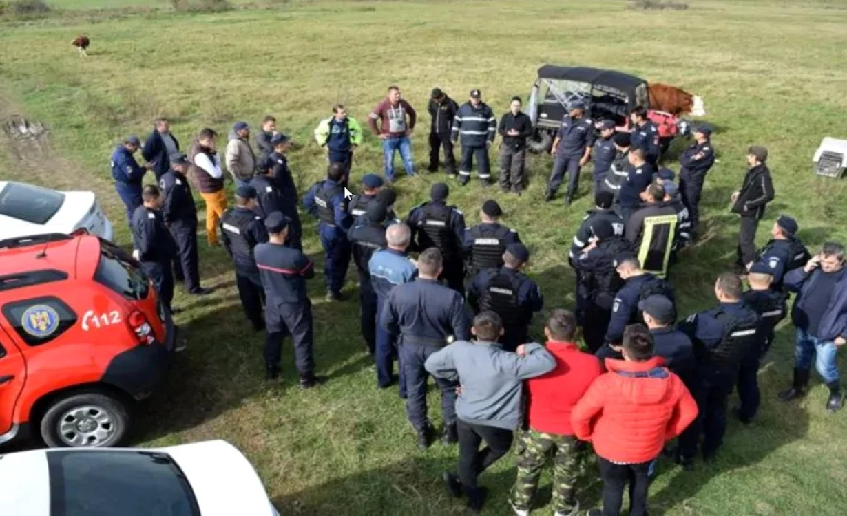 Alertă în Caraș-Severin: căutări în masă după furtul unei arme de vânătoare și a zece cartușe în Poiana Lungă