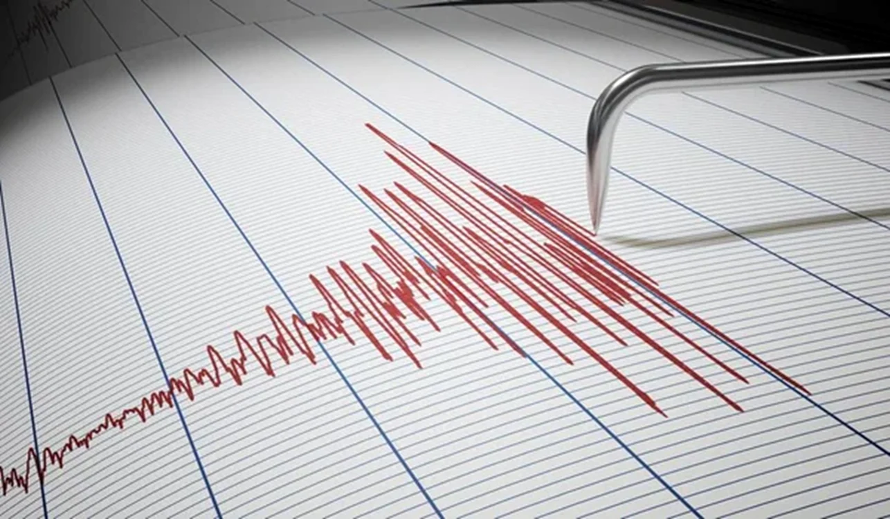 Două cutremure în zona Vrancea, sâmbătă dimineață; cel mai puternic 3,5 Mw