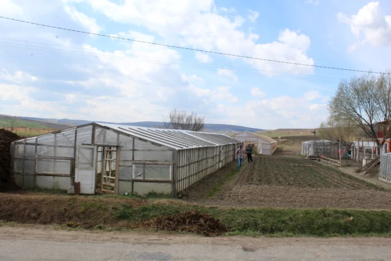 AFIR prelungește termenul pentru finanțarea fermelor mici: ce fonduri mai sunt disponibile