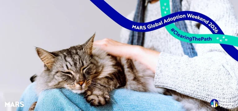 Mars lansează Mars Adoption Hub și prezintă rezultatele unui studiu despre barierele adopției animalelor de companie