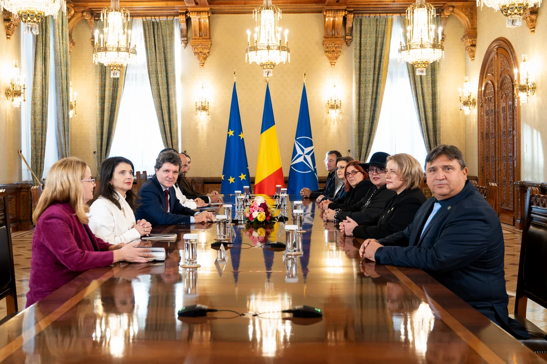 Diana Șoșoacă: SOS România nu va vota Guvernul condus de Luca Niculescu și cere anticipate