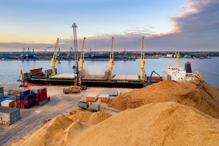 Ucraina refuză un model de aderare UE cu restricții permanente la exporturile agricole