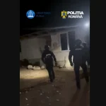 Descinderi în cazul violențelor de la protestul din Piața Victoriei: 21 de percheziții și mandate de aducere