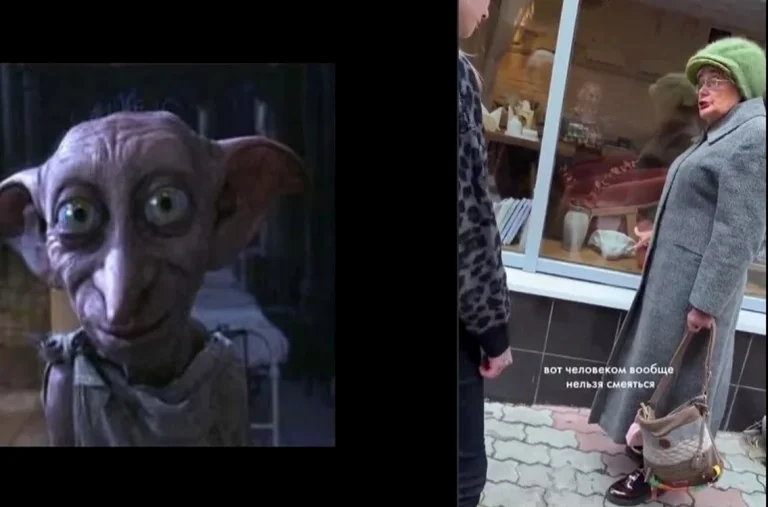 O femeie din Saratov a făcut scandal într-o cafenea, susținând că statuia lui Dobby seamănă cu Putin