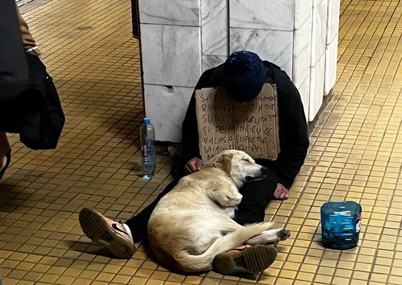 Protest în București față de un cerșetor însoțit de câini; iubitorii de animale suspectează sedarea patrupedelor